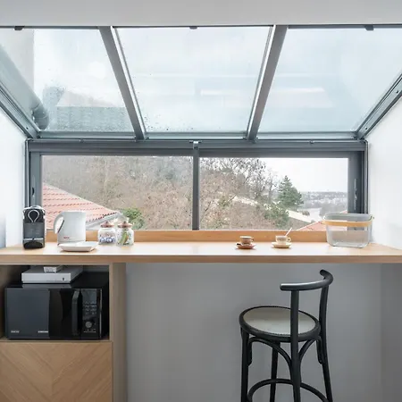 Le Petit Canut - T1 Sous Les Toits Avec Vue *