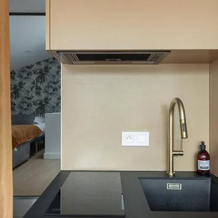 Le Petit Canut - T1 Sous Les Toits Avec Vue